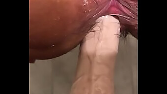 Needing More Dildo For Intense Pussy Fucking