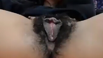 60 Fps Mature Wet Pussy: Amateur Hairy Pussy