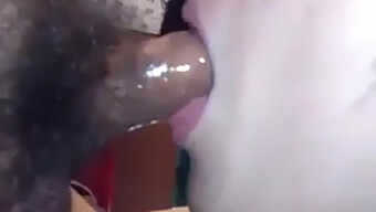 Sloppy Asian Swallows Cum