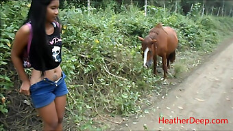 Jungle Peeing: Un Video De Alta Definición De Un Hombre Meando Al Lado De Un Caballo