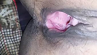 Desi Bhabhi เย็ดสามีในฉาก Bdsm Blowjob และ Cock Eating