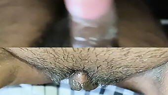 Tamil Wife And Husband In Interracial Hardcore