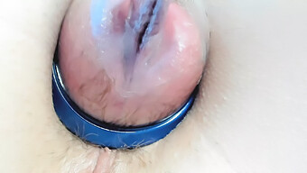 Gros Culs Et Chatte Poilue Dans Une Vidéo Softcore